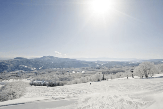 【冬季期間限定】《夕朝食付きアップグレードプラン》ディナーはフレンチ・創作洋食・和食よりチョイス＜事前決済限定＞