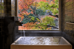 ＜西館＞温泉半露天付　和洋室A　（川沿い）　【ツインベッド】