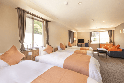 Deluxe Twin Room (35sqm) on Top Floor [Non-Smoking / Private Bath]