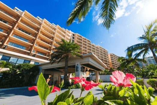 【沖縄美ら海水族館チケット】ジンベイザメやマンタに会いに行こう。選べる(洋食or和食)ブッフェ朝食付