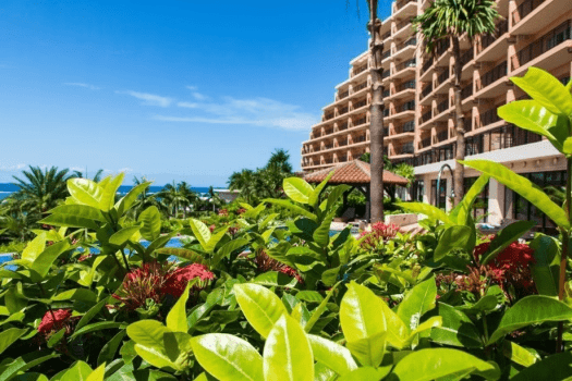 【早期割55】早期ご予約プラン～寛ぎのカフーステイ（朝食付き）