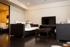 コンド棟　ドッグフレンドリー　61～75平米