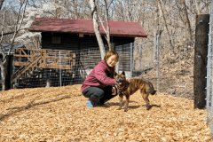 WITH DOG | VILLA（ペット可｜専有面積63平米＋離れ）