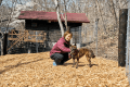 WITH DOG | VILLA（ペット可｜専有面積63平米＋離れ）