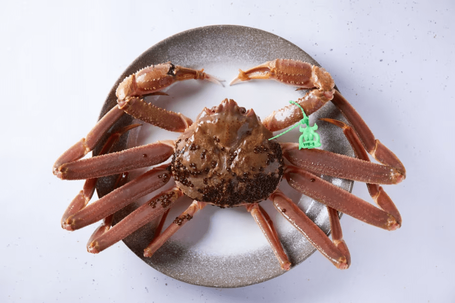【厳選・冬の活松葉ガニ料理：極み（二匹）】『二匹が広げる多彩の至り／冬の活松葉ガニを心行くまで味わう』