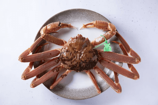 【厳選・冬の活松葉ガニ料理：極み（二匹）】『二匹が広げる多彩の至り／冬の活松葉ガニを心行くまで味わう』