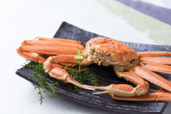 【厳選・冬の活松葉ガニ料理：上（1.5匹）】『一匹半で広がる味わいのゆとり／香住港で選び抜く活松葉ガニ』