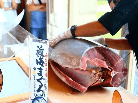 マグロ解体ショー※イメージ