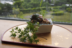 栄螺お造り※イメージ