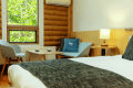 【おまかせ客室】 どの部屋になるかは当日のお楽しみ。窓辺で自然を眺める、穏やかなひとときを。