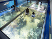越前松島水族館ショーや展示物など見どころ満載♪