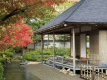 福井藩主松平家の別邸「養浩館」紅葉の時期もおすすめです