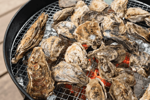 【冬季限定★焼き牡蠣食べ放題70分｜午前の部】海まで行かずに牡蠣三昧！京都の森で冬の味覚を満喫