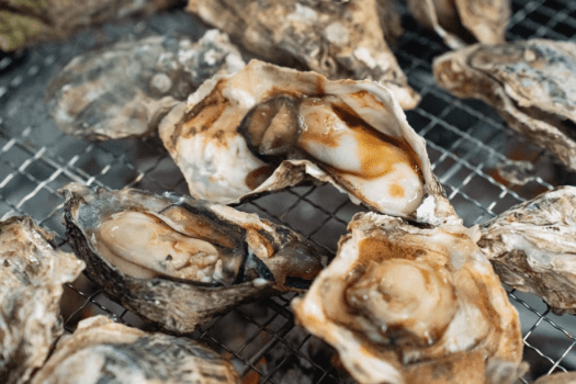 【冬季限定★焼き牡蠣食べ放題70分｜午前の部】海まで行かずに牡蠣三昧！京都の森で冬の味覚を満喫