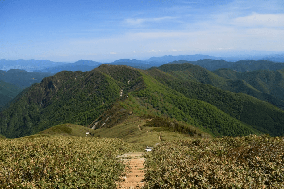 【平標山／標高約1,984m】谷川連峰の西端に位置し、苗場エリアを代表する人気の登山スポットです。
開放的な稜線歩きや高山植物、谷川連峰を望む景色が魅力です。