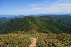 【平標山／標高約1,984m】谷川連峰の西端に位置し、苗場エリアを代表する人気の登山スポットです。
開放的な稜線歩きや高山植物、谷川連峰を望む景色が魅力です。