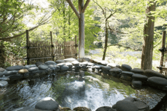 【山の湯 石湯露天】日本屈指、濃厚な&ldquo;強食塩冷鉱泉&rdquo;に癒される （貸切タイム：16時頃～22時頃）