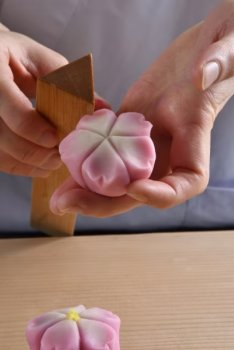 和菓子作り体験　京菓子ふじ幸 あずきの里