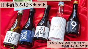 【豪華特典】特産品または地酒プレゼント＆チェックアウト11時までOK★大浴場＆サウナ完備（男性専用）