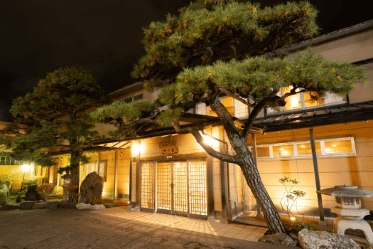 Illuminated softly at night, the pine tree welcomes guests to a traditional Japanese ryokan.
