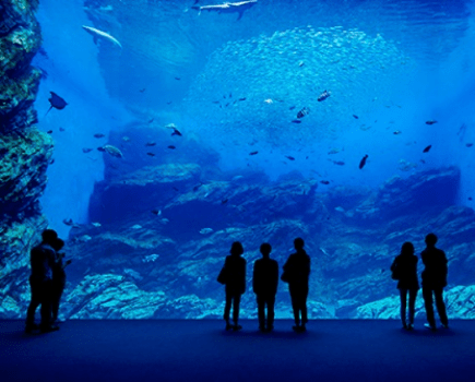 【朝食付き】一日の元気の源は朝食から！☆〜 お泊りと朝食を楽しんで　遅い到着もＯＫ♪