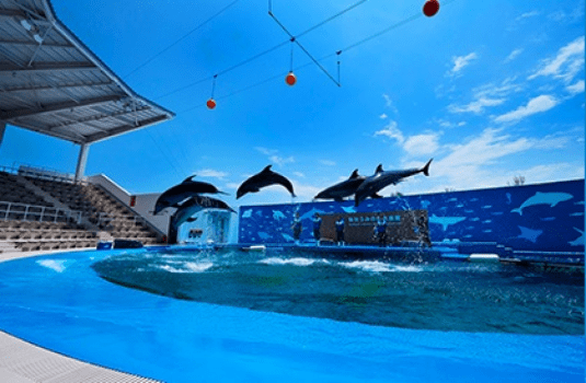 【ゴールデンウィーク限定プラン】季節の海の幸と会席膳