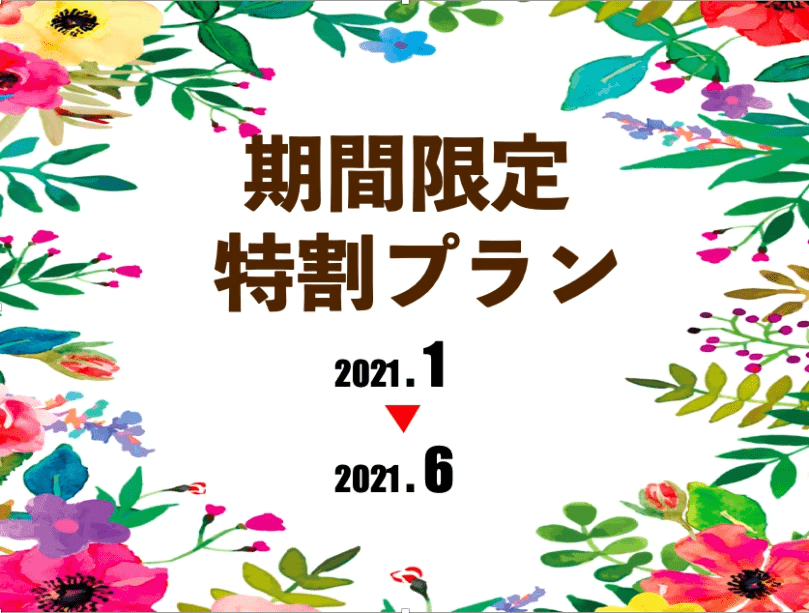 【期間限定・特割プラン】６月～11月