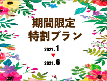 【期間限定・特割プラン】６月～11月
