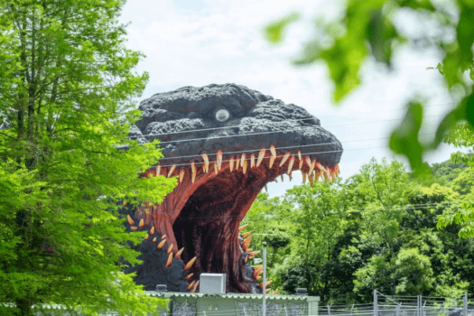 ニジゲンノモリ