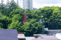 2024年改装■1部屋限定『北欧和モダン』【37平米】