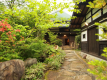 夏の玄関風景