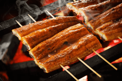 《1泊2食付》びわ湖の恵みを味わい尽くす ” 希少な逸品 ”「びわ湖産天然うなぎ会席」プラン【夏季限定】 《1泊2食付》びわ湖の恵みを味わい尽くす ” 希少な逸品 ”「びわ湖産天然うなぎ会席」プラン【夏季限定】