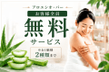 【金・土曜日・特日限定】お部屋選べるスタンダードプラン/21:00in~翌11:00out/途中外出OK/素泊まり 【金・土曜日・特日限定】お部屋選べるスタンダードプラン/21:00in~翌11:00out/途中外出OK/素泊まり