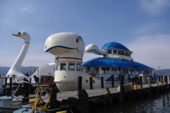 夏だ！花火だ！クルーズだ！諏訪湖満喫ファミリープラン