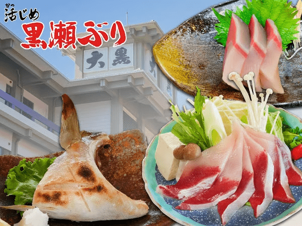 串間市・黒瀬水産で大切に育てられたブランド養殖ぶり「黒瀬ぶり」お刺身・焼き物・しゃぶしゃぶで！