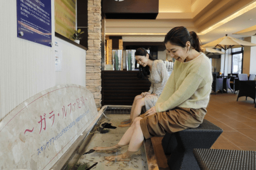 フィッシュ足湯イメージ