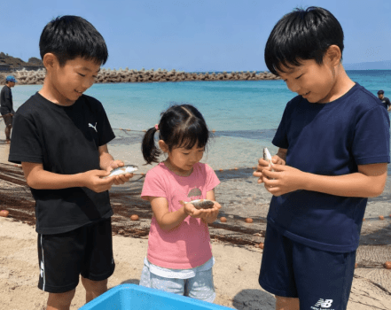 夏休み限定！地引網体験でお魚GET♪