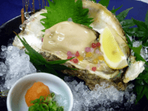 【岩牡蠣】夏の１番人気の別注メニュー！クリーミーで深い味わいをお楽しみ下さい♪栄養も豊富