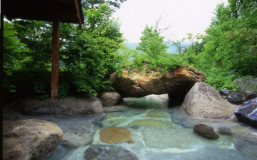 新緑の男性露天風呂 新緑の男性露天風呂