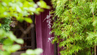 【エントランス】森の木立に囲まれた、わずか六室の隠れ家