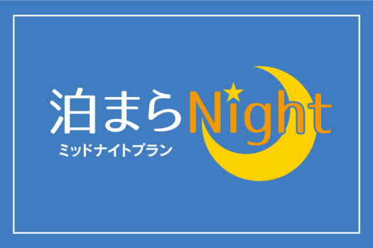 当日限定！ミッドナイトプラン 泊まらナイト【素泊り】プラン