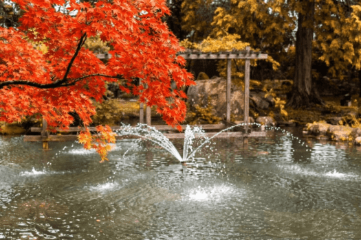 秋/紅葉シーズン　イメージ