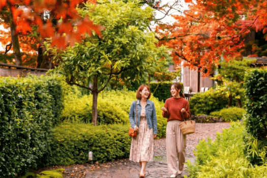 秋/紅葉シーズン イメージ 秋/紅葉シーズン イメージ