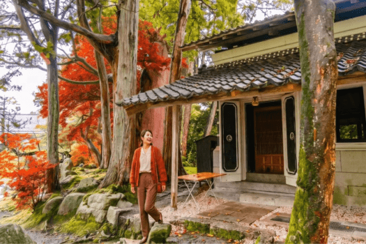 秋/紅葉シーズン イメージ 秋/紅葉シーズン イメージ