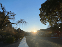 荘厳な空気と眩しい朝陽でココロを洗うひととき。