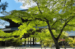 桜につづきお山を彩る新緑。マイナスイオンたっぷり♪　
心身のリフレッシュにぜひお出かけください