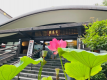 夏の身延山（報恩閣＆蓮）