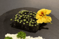〈リゾグラ〉【夕食付】海を望む1棟貸切│こだわりの出張料理を楽しむプライベートステイ※愛犬同伴不可