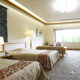 庭園を望む最上階客室【洋室ツインルーム(21㎡)】