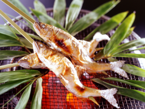 長良川天然鮎づくし料理プラン【特選料理】